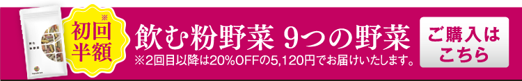 飲む粉野菜 9つの野菜 ご購入はこちら