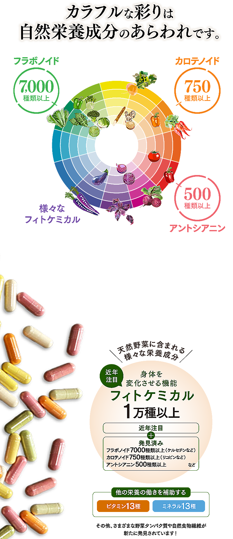 カラフルな彩りは自然栄養成分のあらわれです。