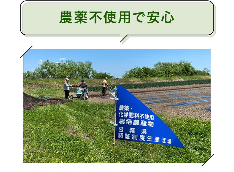 農薬不使用で安心